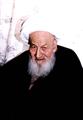 آیت الله محمد علی اراکی