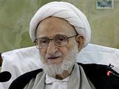 آیت الله محمد تقی بهجت